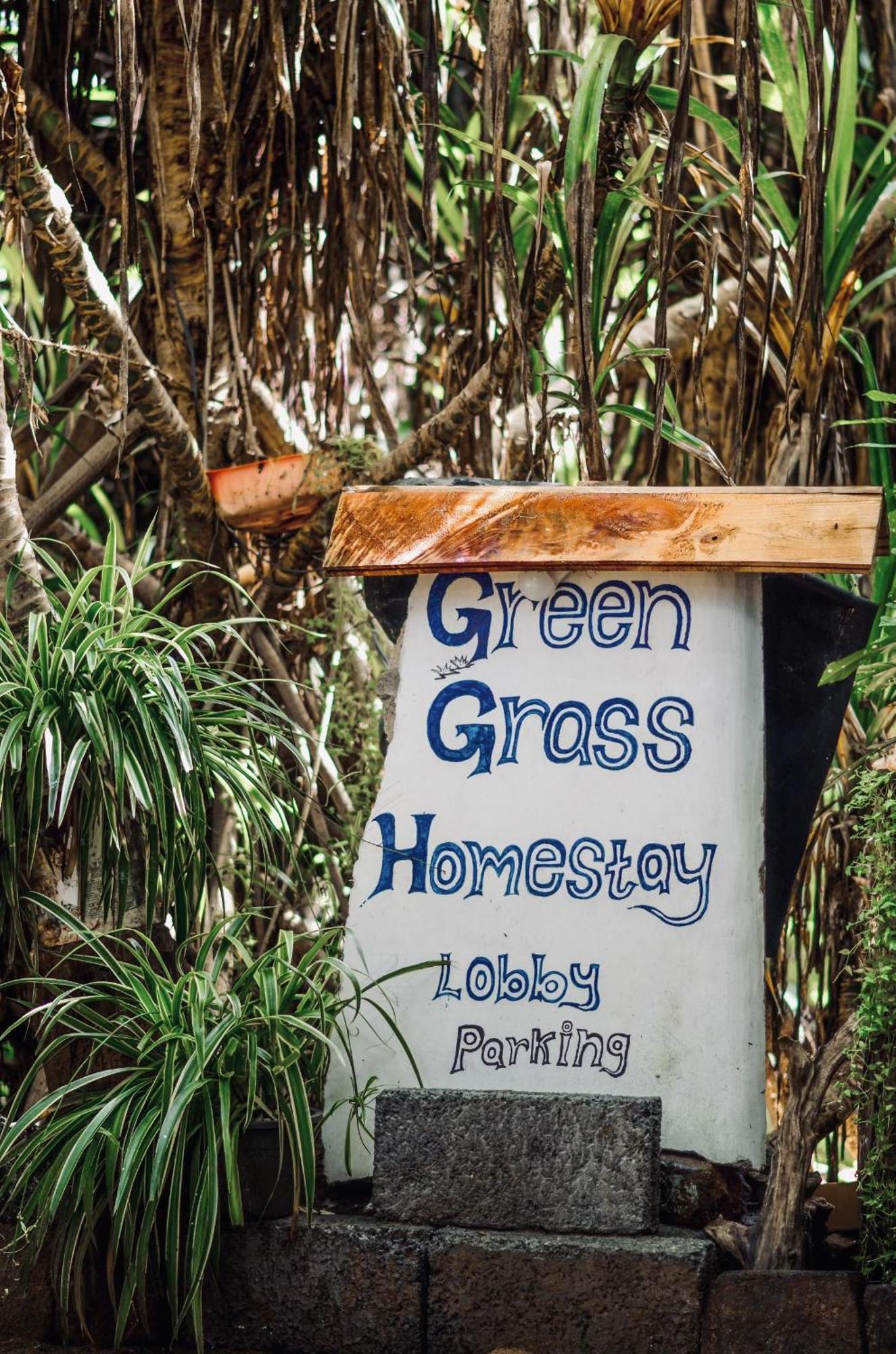 Green Grass Homestay Сігірія Екстер'єр фото