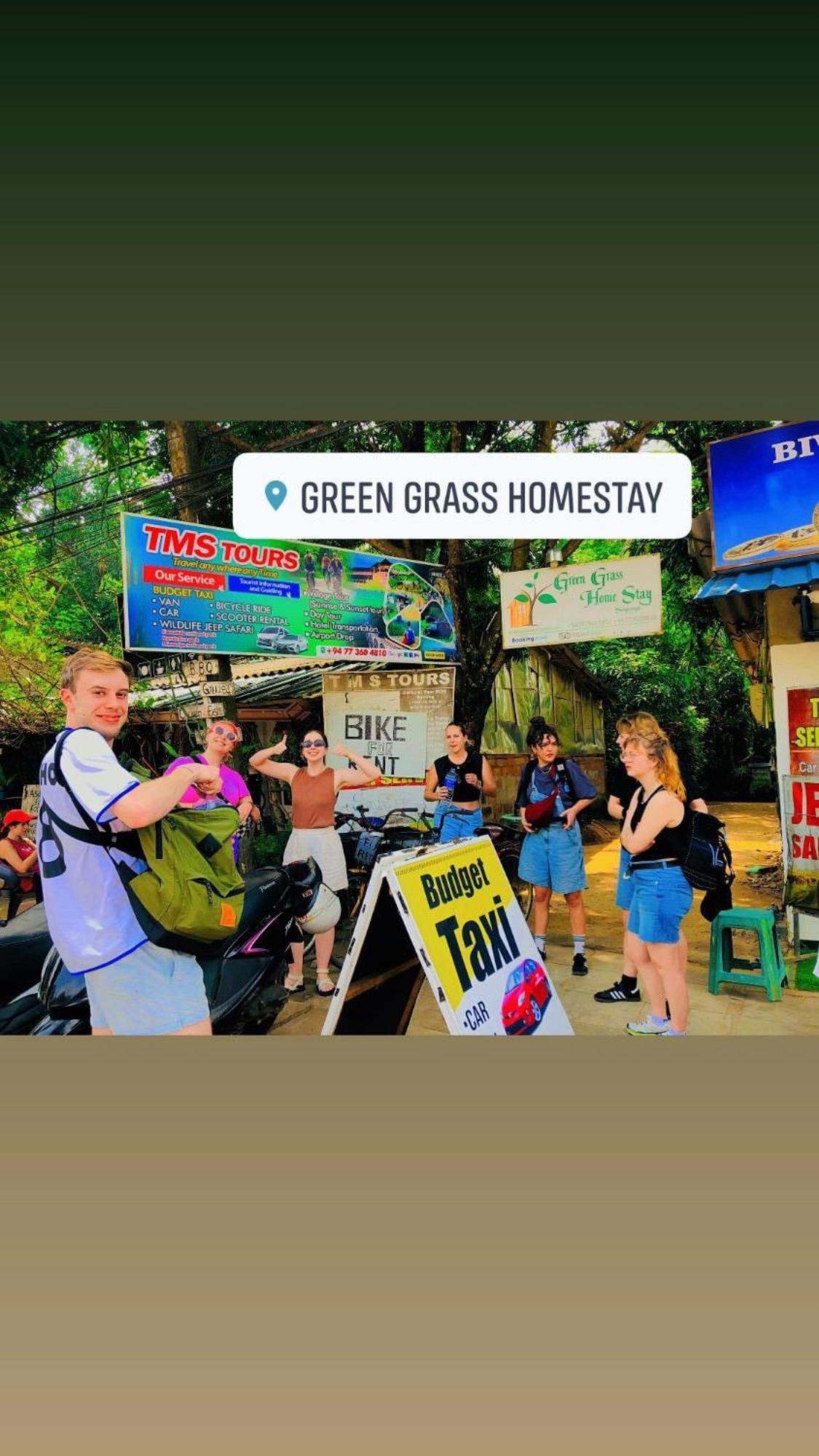Green Grass Homestay Сігірія Екстер'єр фото